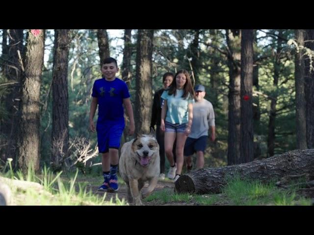 Lindsey Land and Home - Angel Fire NM