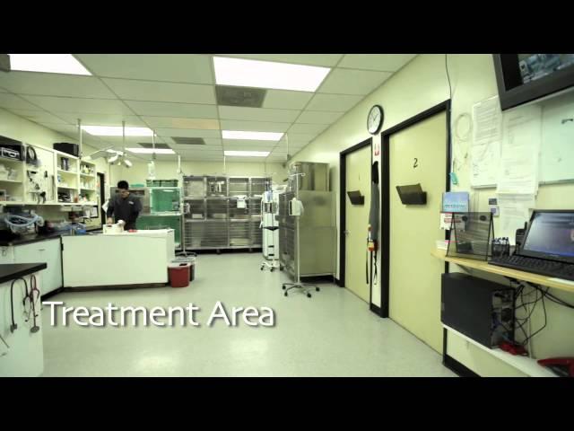 Central Orange County Emergency Animal Hospital Video Tour