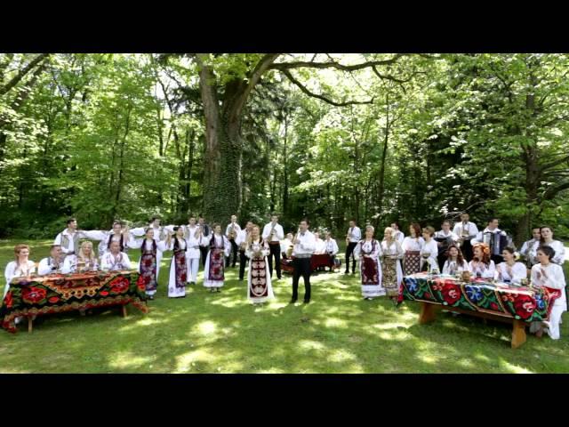 Mirela Petrean si Florin Ionas - Generalul - Ce n-as da sa fiu o frunza