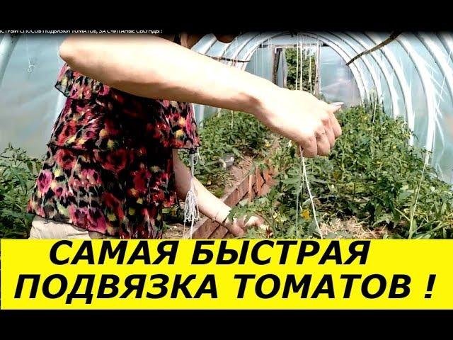 СУПЕР БЫСТРЫЙ СПОСОБ ПОДВЯЗКИ ТОМАТОВ, ЗА СЧИТАННЫЕ СЕКУНДЫ !