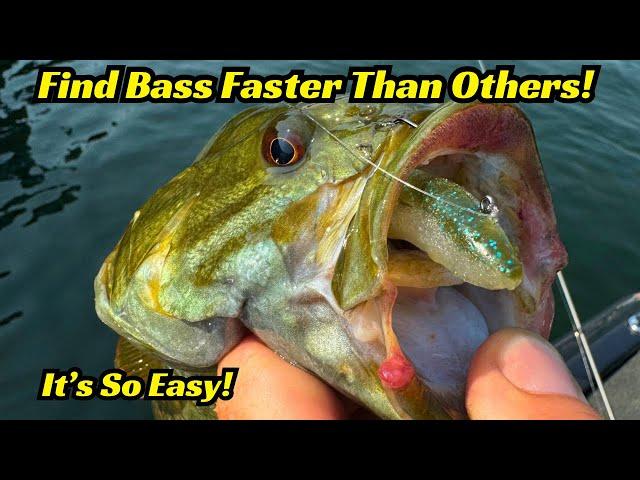 The Key To Finding Bass Faster Than Other Fisherman! So Easy But Never Discussed!