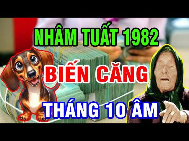 Tử Vi Tháng 10 Âm Tuổi Nhâm Tuất 1982, May Mắn, Đổi Đời Giàu Có Hay Xui Xẻo Vận Hạn Thế Nào?