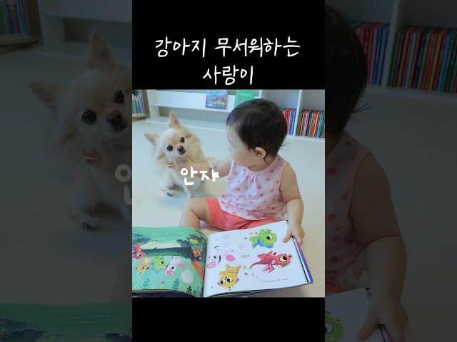 솜이 무서워하는 사랑이ㅋㅋ
