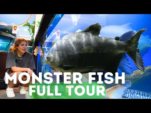 World's LARGEST Monster Fish! FULL Tour at Ohio Fish Rescue