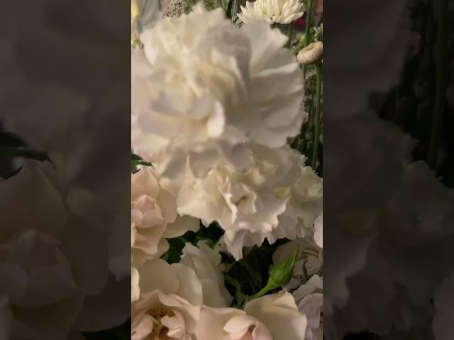#JesusesDios #eljardindeMariateresa #flores