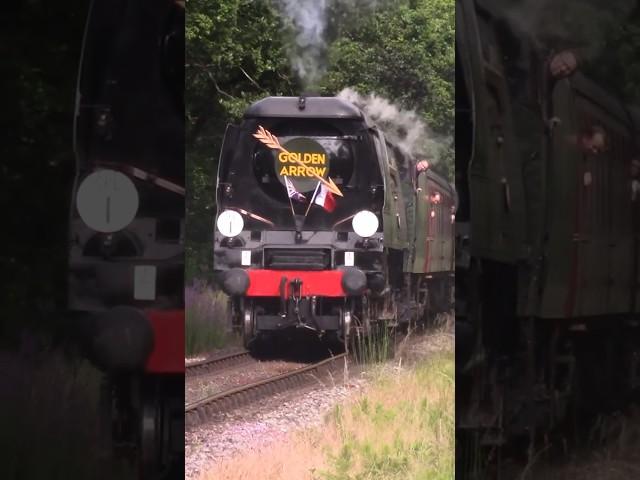 34092 ‘Golden Arrow’ On The Swanage Railway - 2024 #shorts #steamtrain #levelcrossing