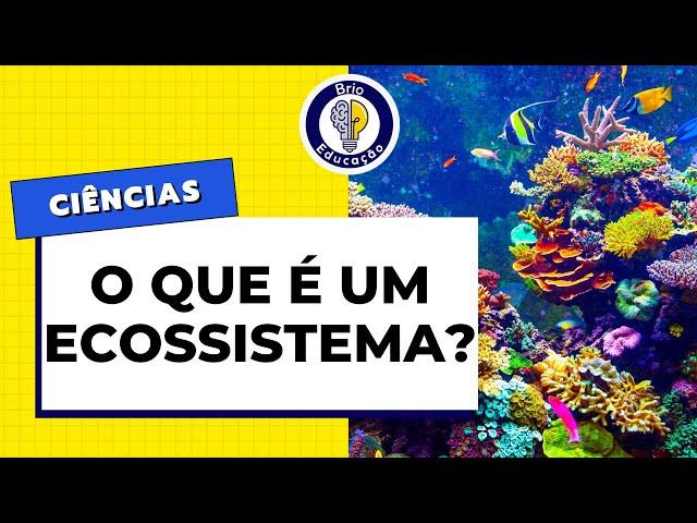 Ciências: O que é um ECOSSISTEMA? | Brio Educação