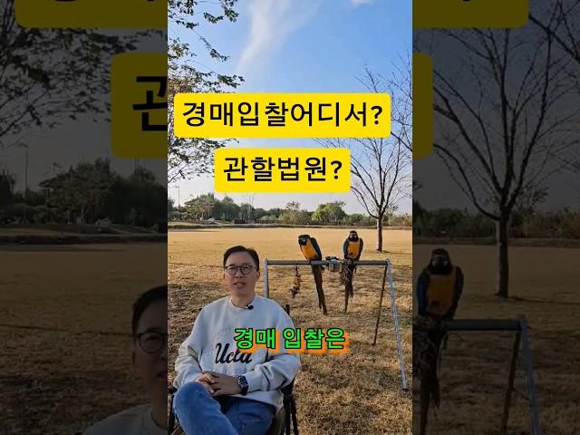 경매관할법원?경매입찰은 어디에서?#부동산경매 #부동산투자#경매강의#경매기초#경매초보#부린이#경린이#경제공부#부동산100문100답#낙찰#입찰#shorts