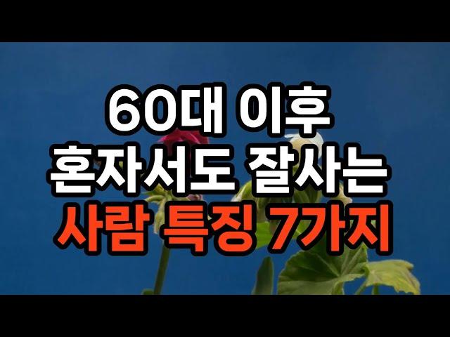 60대 이후 혼자 서도 잘사는 사람 특징 7가지 #노후준비 #자기계발 #삶의지혜