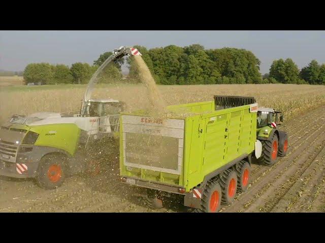 Der Claas Jaguar 990 Terra Trac | 4K