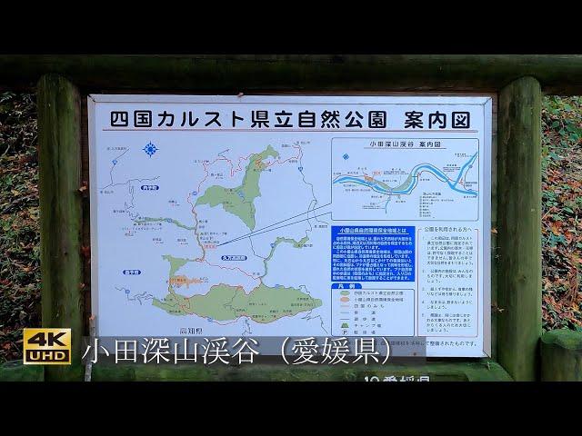 【自然の音と風景 】愛媛県小田深山渓谷 紅葉 4K映像 自然音癒やし風景