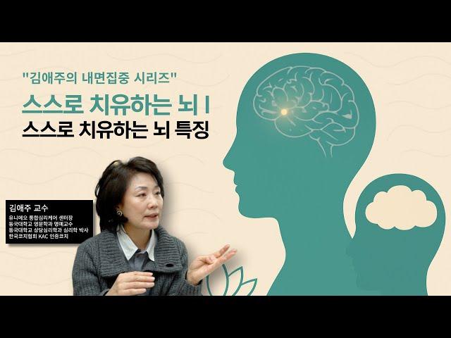 스스로 치유하는 뇌 I  스스로 치유하는 뇌 특징