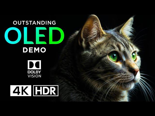 MIND-BLOWING  Dolby Vision 4K HDR 120fps 4K Video ULTRA HD