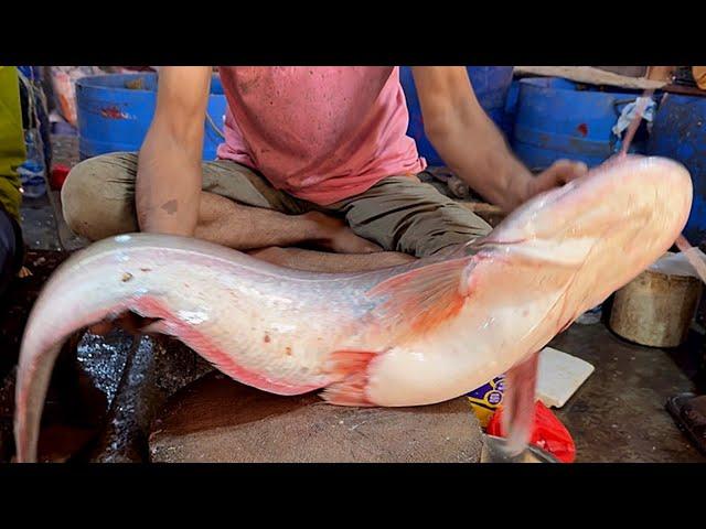 Amazing Cutting skills | Giant Wallago Catfish (Boal) Cutting Skills Live In Fish Market