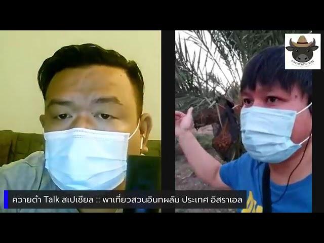 ควายดำ Talk สเปเชียล :: ควายดำทำเกษตร พาไปคุยกับคนไทยที่ไปทำงานในสวนอินทผลัม ประเทศ อิสราเอล