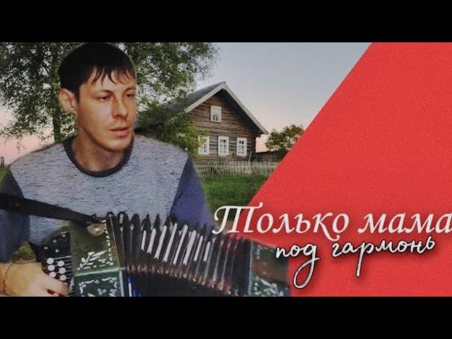 Всем мамам посвящается • Душевная песня • ТОЛЬКО МАМА ( Алексей Кракин под гармонь)