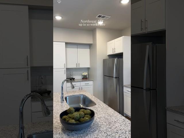 NORTHEAST ATX10 Weeks FREE #apartmentlocator #austintexas