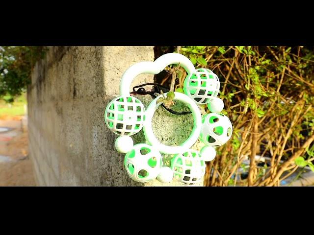 Village nature video || Renu sri Digital studio.