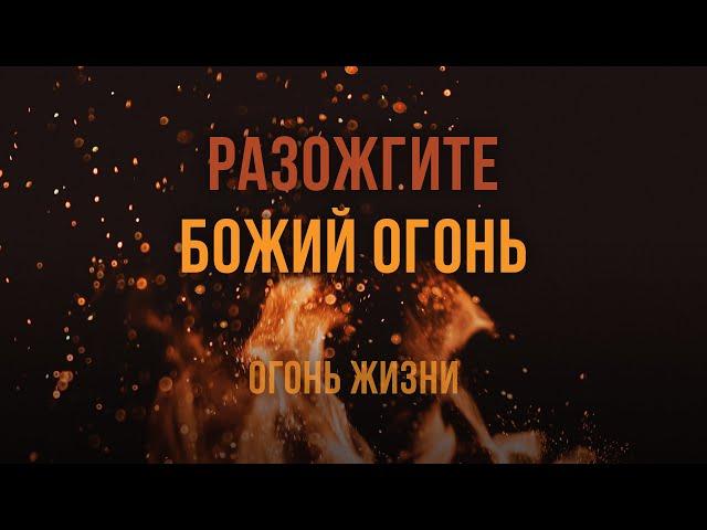 1. Разожгите Божий огонь – Серия «Огонь жизни». Рик Реннер