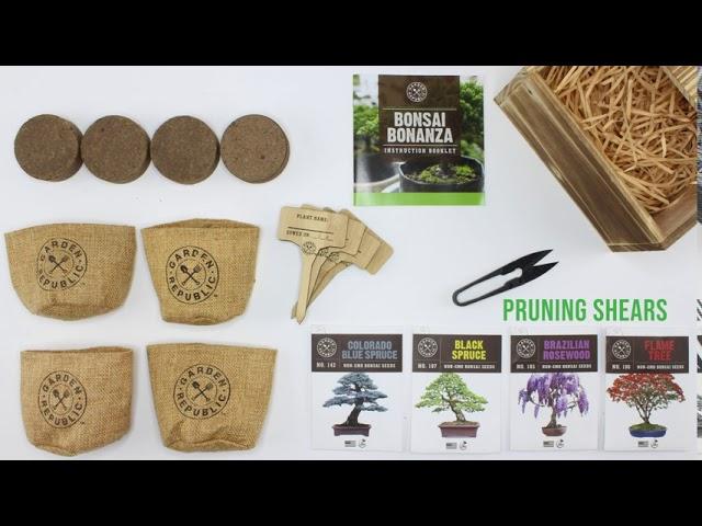 Bonsai Tree Seed Starter Kit