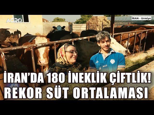 İran'da 180 İneklik Çiftlik! Simentalden Rekor Süt Ortalaması / Abi Nerdesin?