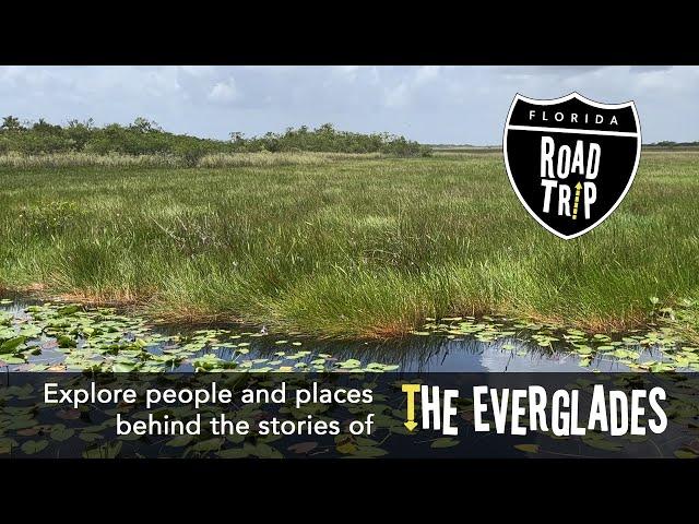 Florida Road Trip | The Everglades