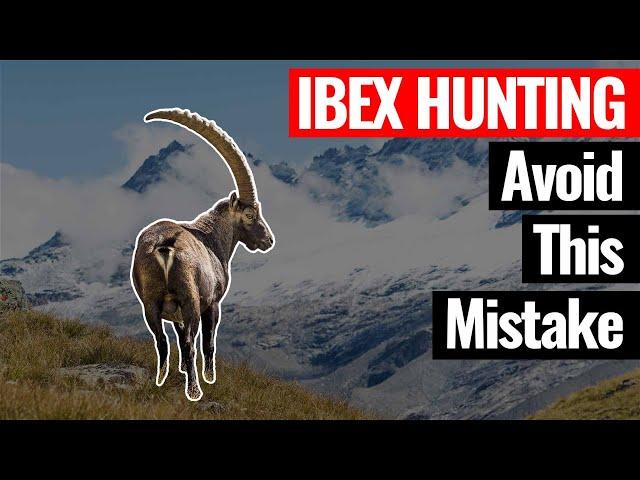 Ibex hunting in Kazakhstan (avoid this mistake)