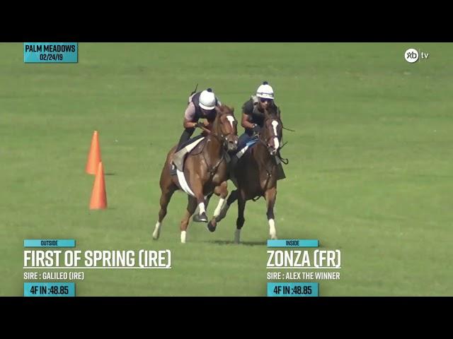 Primed and Ready - Zonza - Feb. 24, 2019