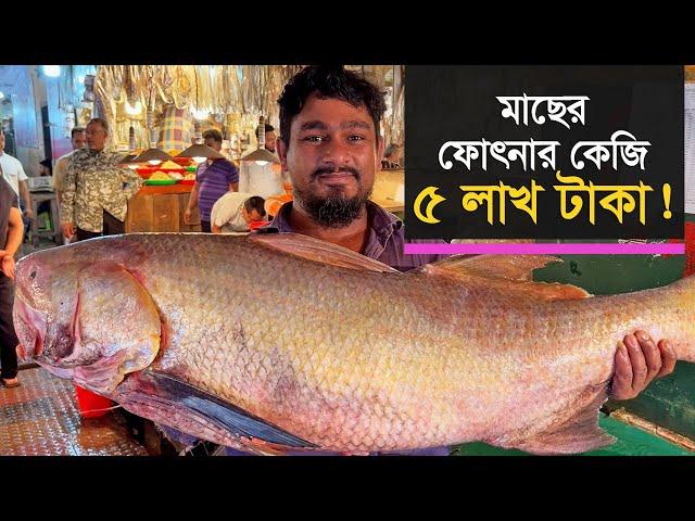 মাছের ফোৎনার কেজি ৫ লাখ টাকা! | Fish | Fish Market | RB Talks