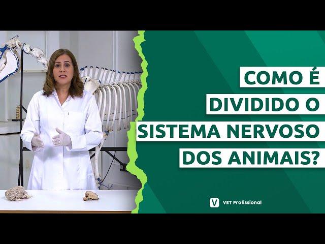 Fisiologia Veterinária - Sistema nervoso