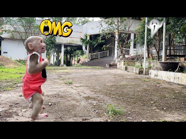 Luk curious explores abandoned house and unbelievable ending