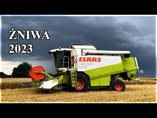 Żniwa Pszenicy 2023 | Claas Lexion 430 | Steyr Absolut 6185 | Pronar T672