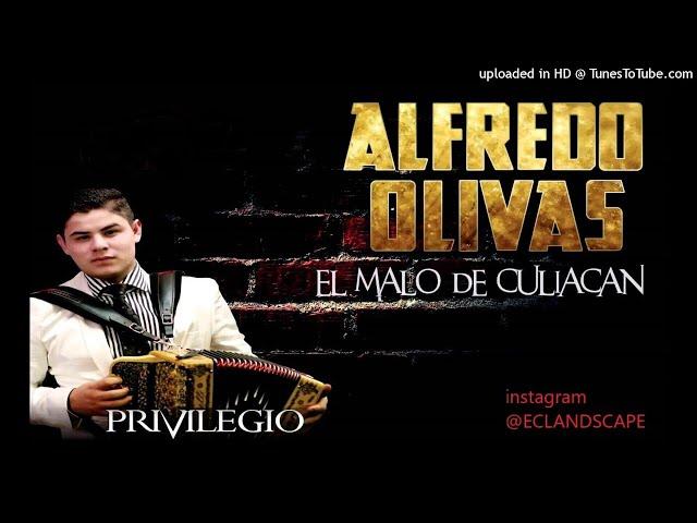 ALFREDO OLIVAS MIX CORRIDOS