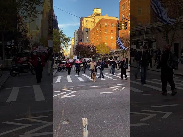 Peaceful march in Manhattan New York University Place, Thanksgiving weekend.