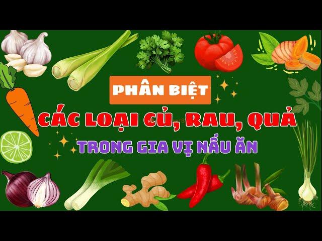 PHÂN BIỆT CÁC LOẠI CỦ, RAU, QUẢ TRONG GIA VỊ NẤU ĂN: CỦ HÀNH, CỦ TỎI, CỦ GỪNG, CỦ SẢ...| SỨA  TV