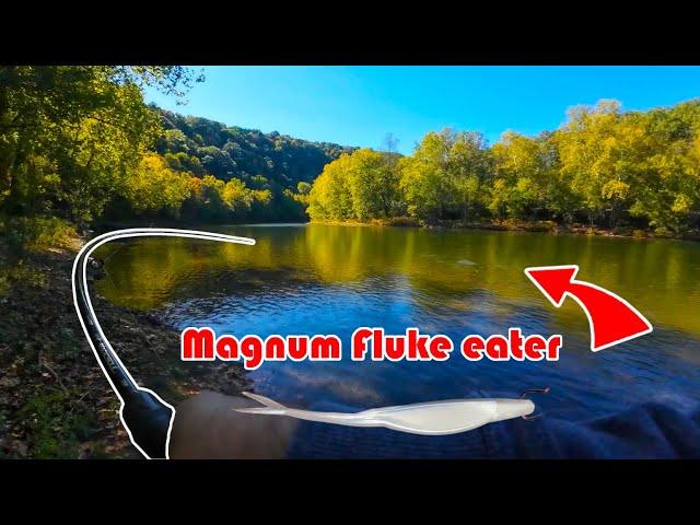 This Giant Smallie made me work for it! (He was smart) | Crystal clear water! | 7" Magnum fluke |