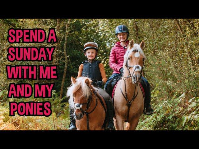 SPEND A SUNDAY WITH ME AT HOME WITH THE PONIES