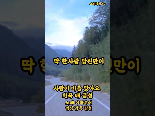 사랑이 비를 맞아요 원곡가수 배금성 노래 소리마당 아마추어 영상 감독 스테레오 싸운드 트랙 뮤직비디오