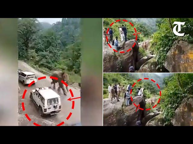 Former Uttarakhand CM Trivendra Singh Rawat climbs rock after elephant blocks his convoy