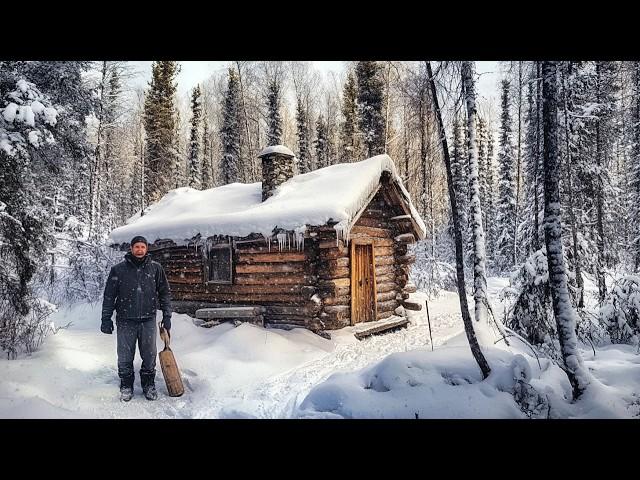 WINTER WOODS Adventures in My Tiny Log Cabin | Off Grid Living in the Woods