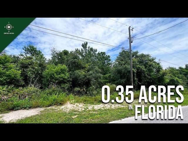 Sunlit 0.35 Acre Parcel with Road Access & Electricity | | Newport Ritchie, FL - $41,999