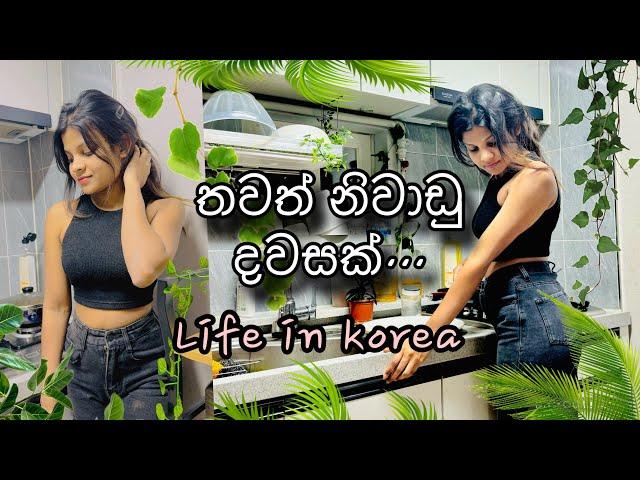 කොරියාවේ මගේ නිවාඩු දවස   Cleaning Day   Life in Korea