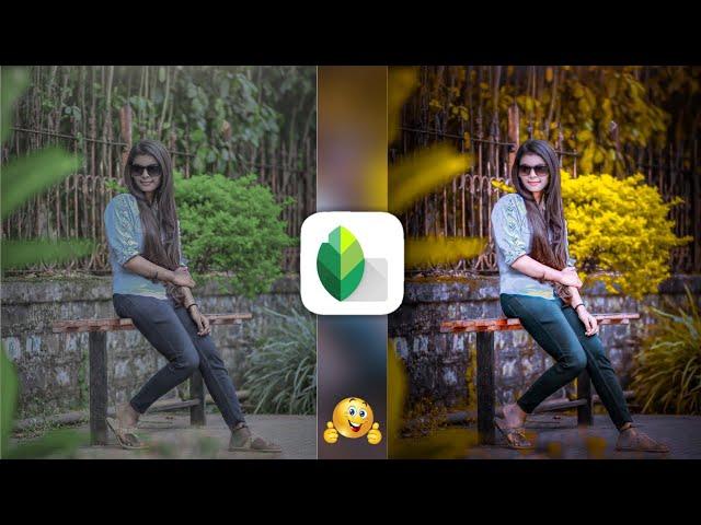 New Snapseed Golden Colour Effect Editing | Best Colour Effect Editing | lr photo editing tutorial