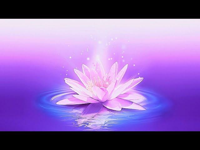 30 Minute Meditation Music for Positive Energy  Balance & Harmony Music  Relax Mind Body