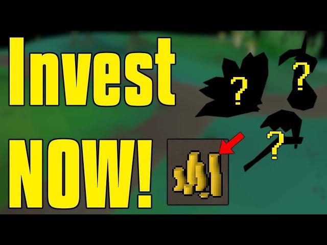 HUGE Investment Opportunities! - OSRS Winter Summit Investment Guide