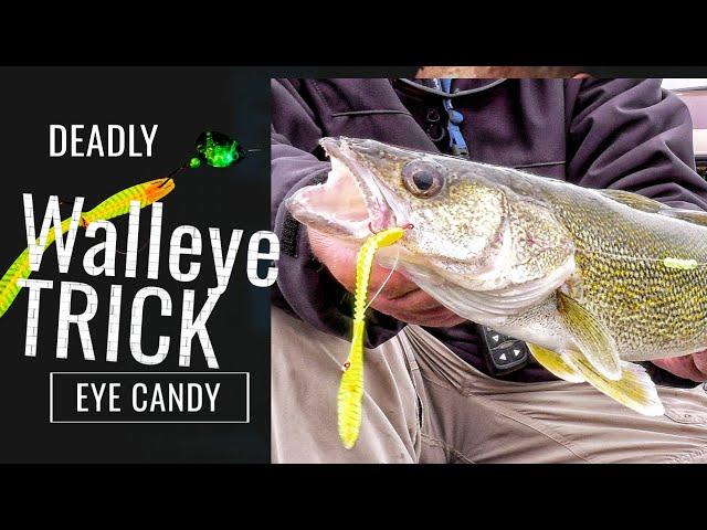 Deadly Walleye Trick | Eye Candy Rigging Leech and Spinner Harness