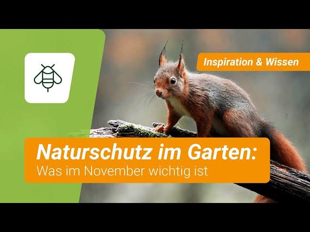 Naturschutz im Garten im November