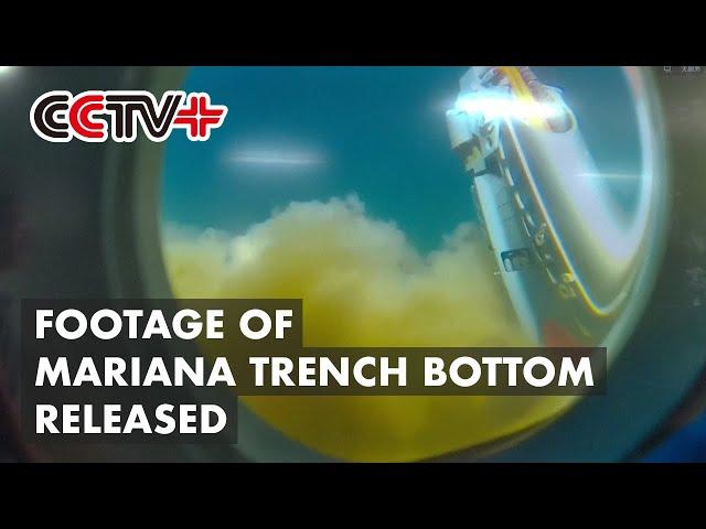 Chinese Scientist Releases Footage of Mariana Trench Bottom