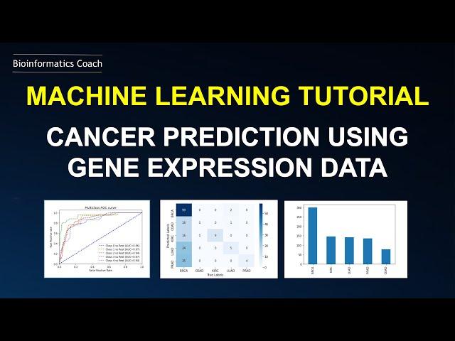 Bioinformatics for Beginners | Python Machine Learning for Cancer Prediction | Gene Expression Data