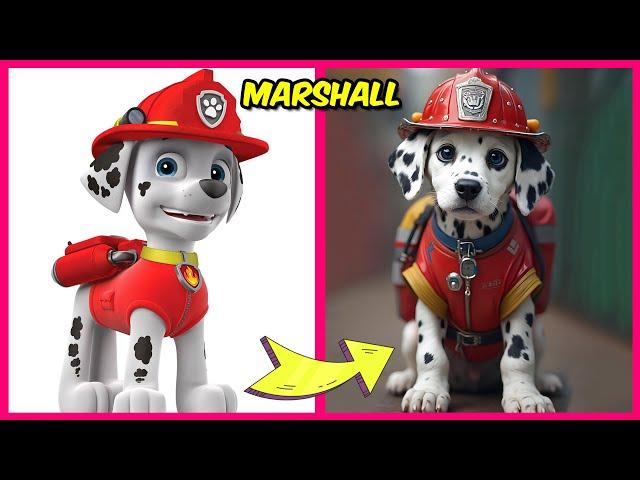 Paw Patrol Characters in Real Life, and Their Favorite Movies, Snacks & More! | Marshall, Chase